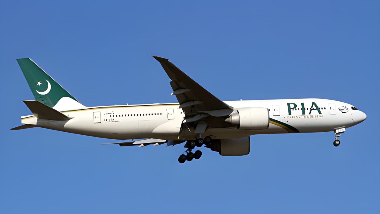 steptodown.com278739