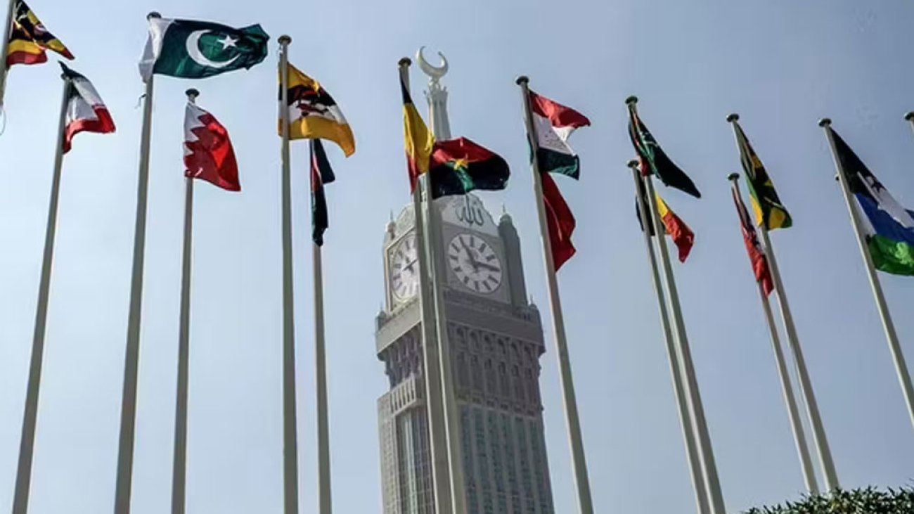 OIC-members-flags